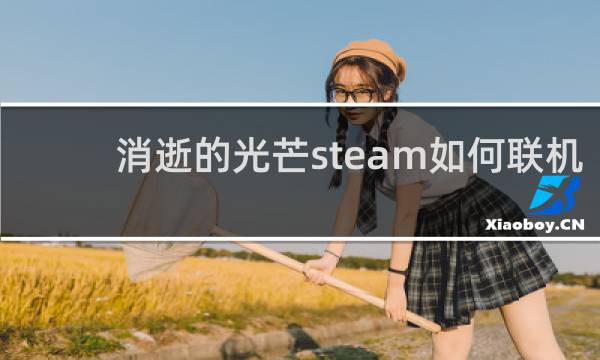 消逝的光芒steam如何联机