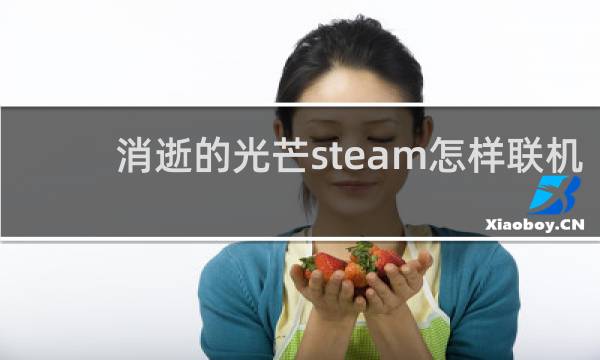 消逝的光芒steam怎样联机
