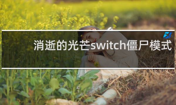 消逝的光芒switch僵尸模式