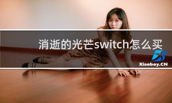 消逝的光芒switch怎么买