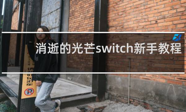 消逝的光芒switch新手教程