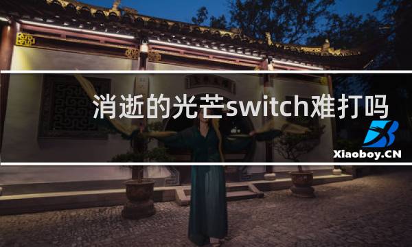 消逝的光芒switch难打吗
