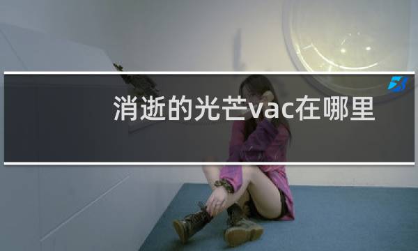 消逝的光芒vac在哪里