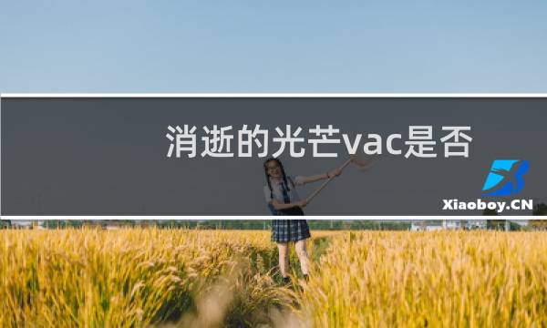 消逝的光芒vac是否