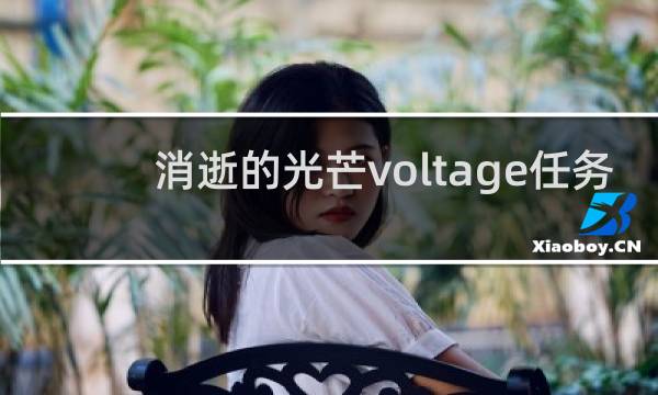 消逝的光芒voltage任务
