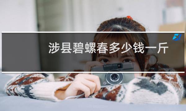 涉县碧螺春多少钱一斤