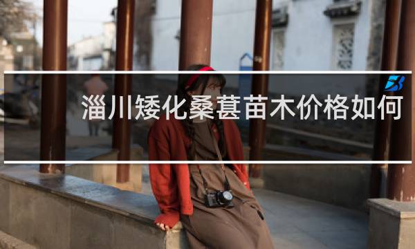 淄川矮化桑葚苗木价格如何