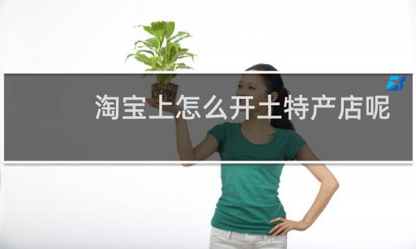 淘宝上怎么开土特产店呢