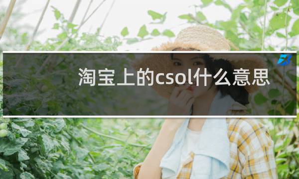 淘宝上的csol什么意思