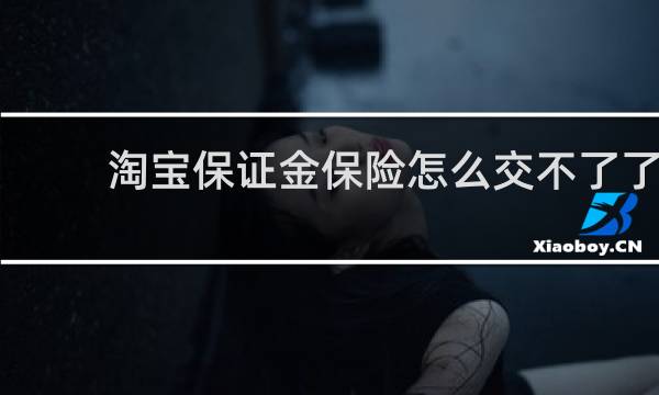 淘宝保证金保险怎么交不了了