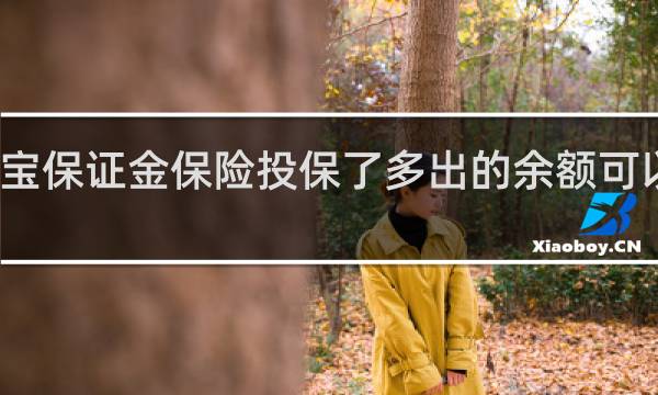 淘宝保证金保险投保了多出的余额可以解冻吗