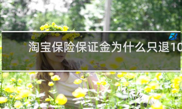 淘宝保险保证金为什么只退10