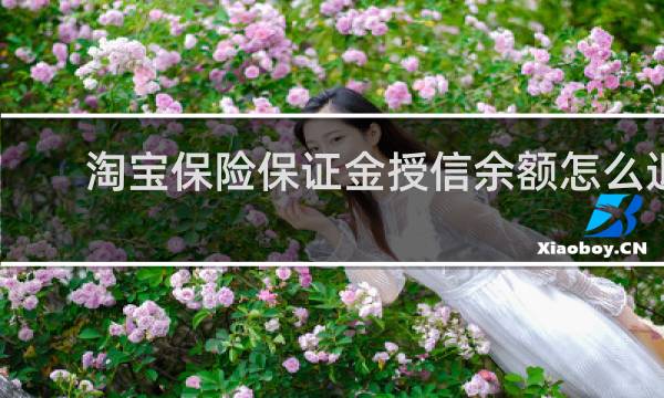 淘宝保险保证金授信余额怎么退