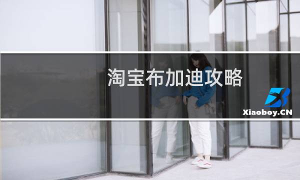 淘宝布加迪攻略