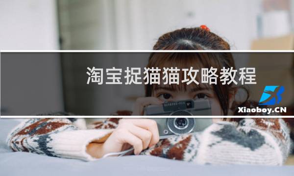 淘宝捉猫猫攻略教程