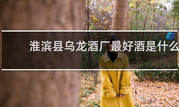 淮滨县乌龙酒厂最好酒是什么