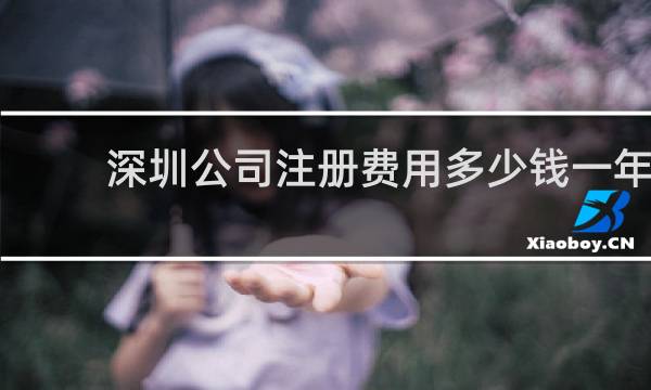 深圳公司注册费用多少钱一年