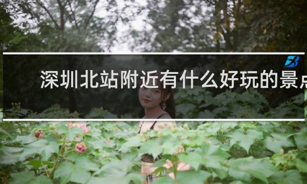 深圳北站附近有什么好玩的景点