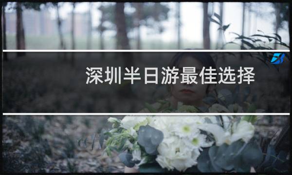 深圳半日游最佳選擇