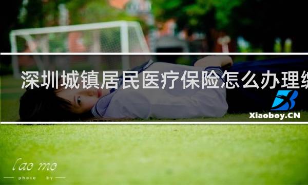 深圳城镇居民医疗保险怎么办理缴费