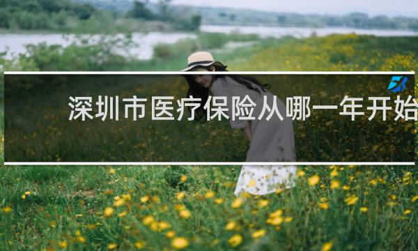 深圳市医疗保险从哪一年开始