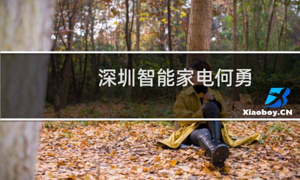 深圳智能家电何勇