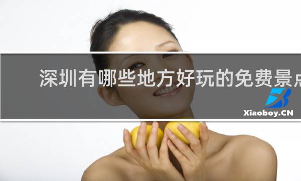 深圳有哪些地方好玩的免费景点