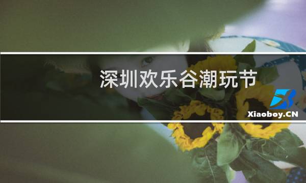 深圳欢乐谷潮玩节