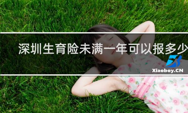 深圳生育险未满一年可以报多少钱