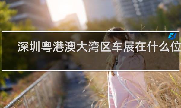 深圳粤港澳大湾区车展在什么位置