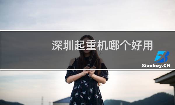 深圳起重机哪个好用