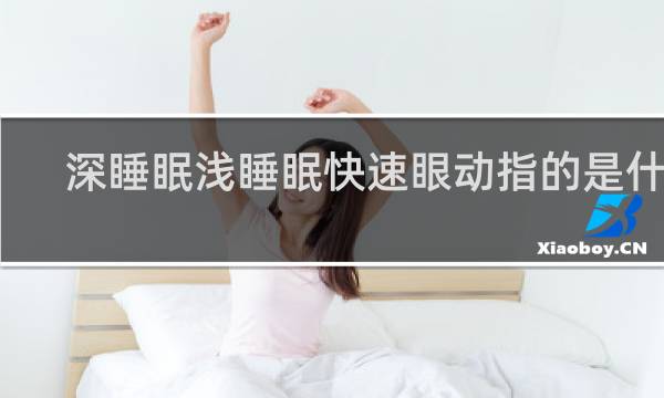 深睡眠浅睡眠快速眼动指的是什么