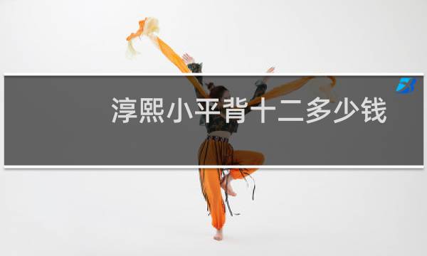 淳熙小平背十二多少钱