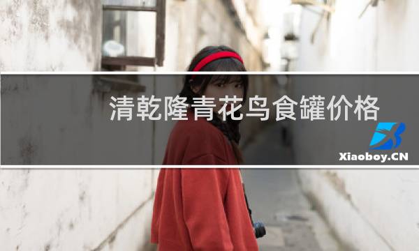 清乾隆青花鸟食罐价格