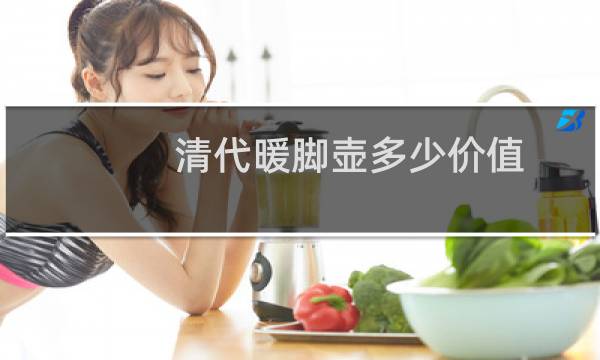 清代暖脚壶多少价值