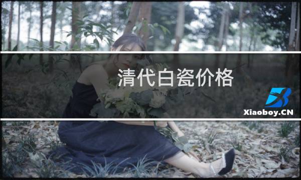 清代白瓷价格