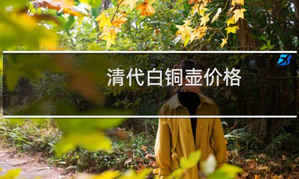 清代白铜壶价格