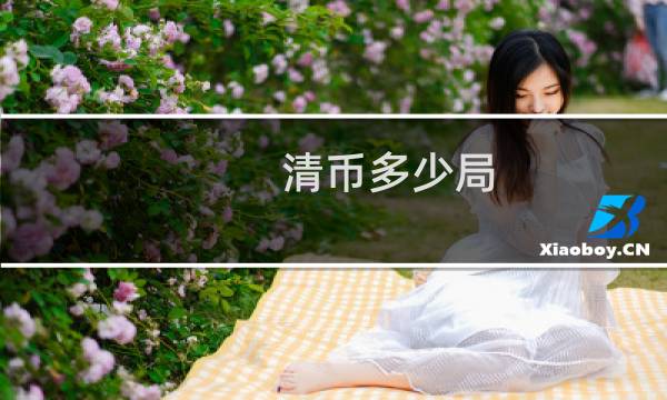 清币多少局