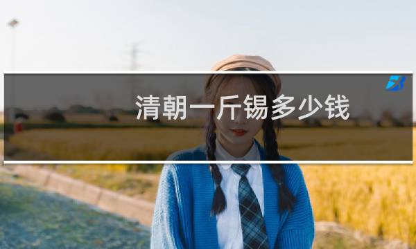 清朝一斤锡多少钱