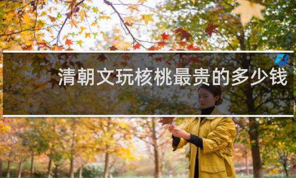 清朝文玩核桃最贵的多少钱