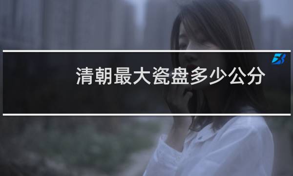 清朝最大瓷盘多少公分