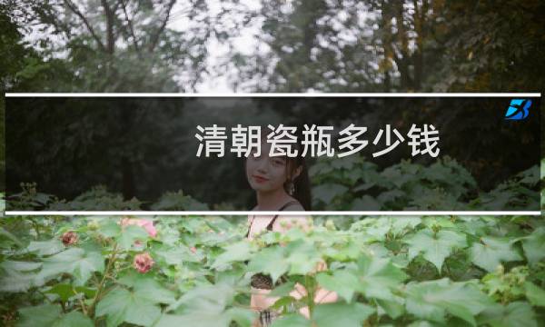 清朝瓷瓶多少钱