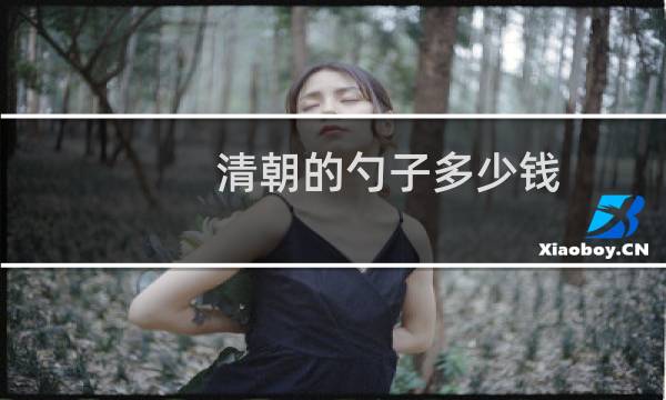 清朝的勺子多少钱