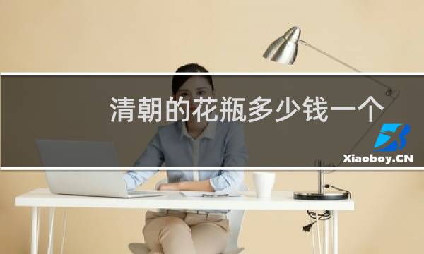 清朝的花瓶多少钱一个