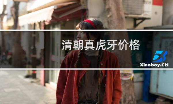 清朝真虎牙价格