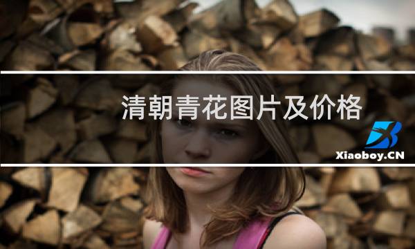 清朝青花图片及价格