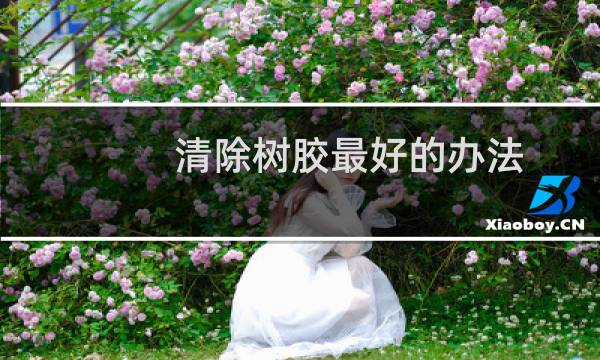 清除树胶最好的办法