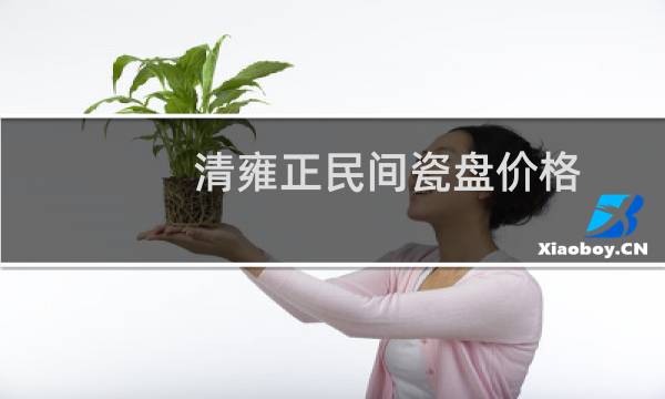 清雍正民间瓷盘价格