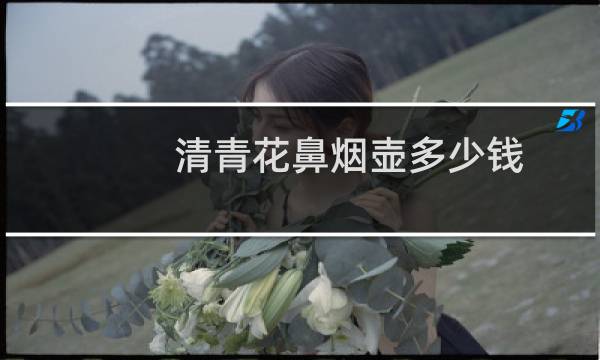 清青花鼻烟壶多少钱