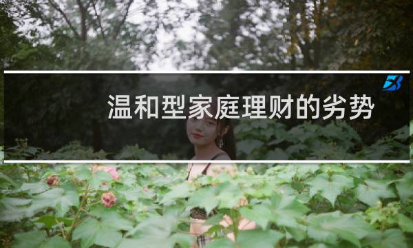 温和型家庭理财的劣势